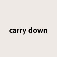 carry down是什么意思