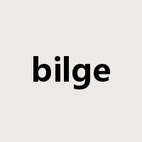bilge是什么意思