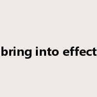 bring into effect是什么意思