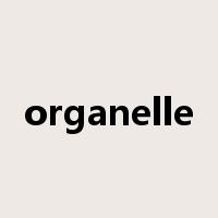 organelle是什么意思