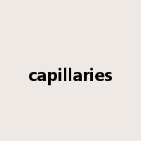 capillaries是什么意思