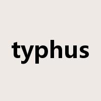 typhus是什么意思