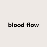 blood flow是什么意思