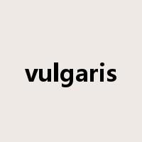 vulgaris是什么意思