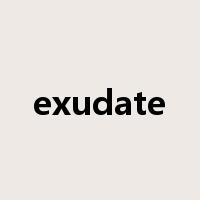 exudate是什么意思