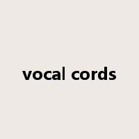 vocal cords是什么意思