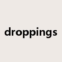 droppings是什么意思