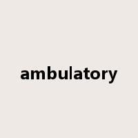 ambulatory是什么意思