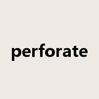 perforate是什么意思