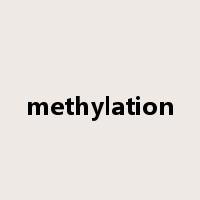 methylation是什么意思