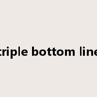 triple bottom line是什么意思