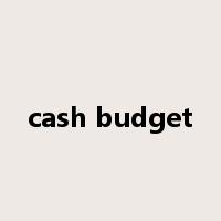 cash budget是什么意思