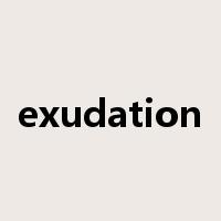 exudation是什么意思