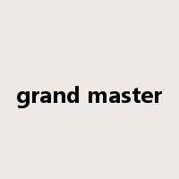 grand master是什么意思