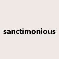 sanctimonious是什么意思