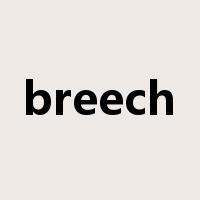 breech是什么意思