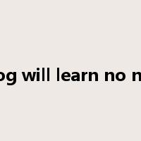 an old dog will learn no new tricks是什么意思