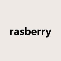 rasberry是什么意思