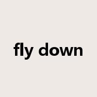 fly down是什么意思