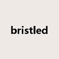 bristled是什么意思