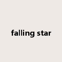 falling star是什么意思