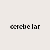 cerebellar是什么意思