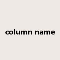 column name是什么意思