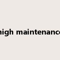 high maintenance是什么意思