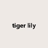 tiger lily是什么意思