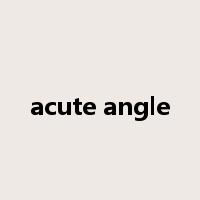 acute angle是什么意思