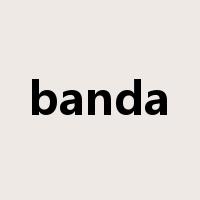 banda是什么意思