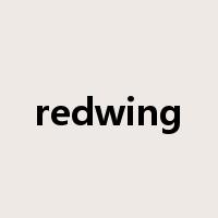 redwing是什么意思