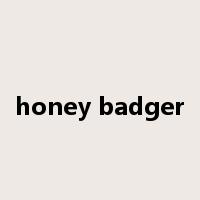 honey badger是什么意思