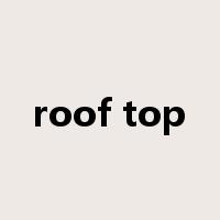 roof top是什么意思