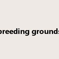 breeding grounds是什么意思