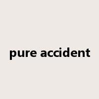 pure accident是什么意思