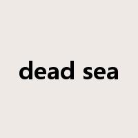 dead sea是什么意思