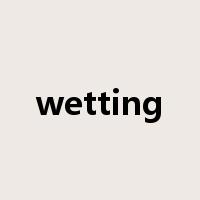 wetting是什么意思