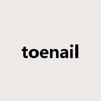 toenail是什么意思