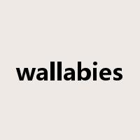 wallabies是什么意思