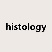 histology是什么意思