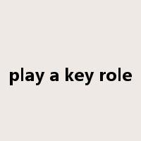 play a key role是什么意思