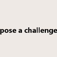 pose a challenge是什么意思