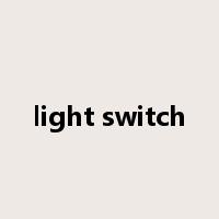 light switch是什么意思