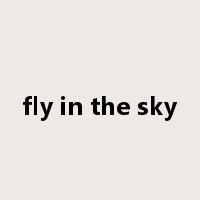 fly in the sky是什么意思