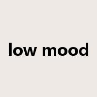 low mood是什么意思
