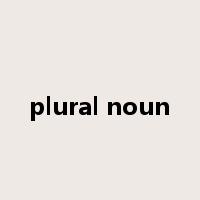 plural noun是什么意思