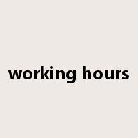 working hours是什么意思
