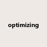 optimizing是什么意思