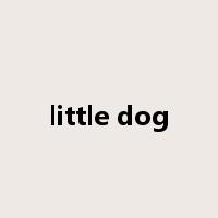 little dog是什么意思